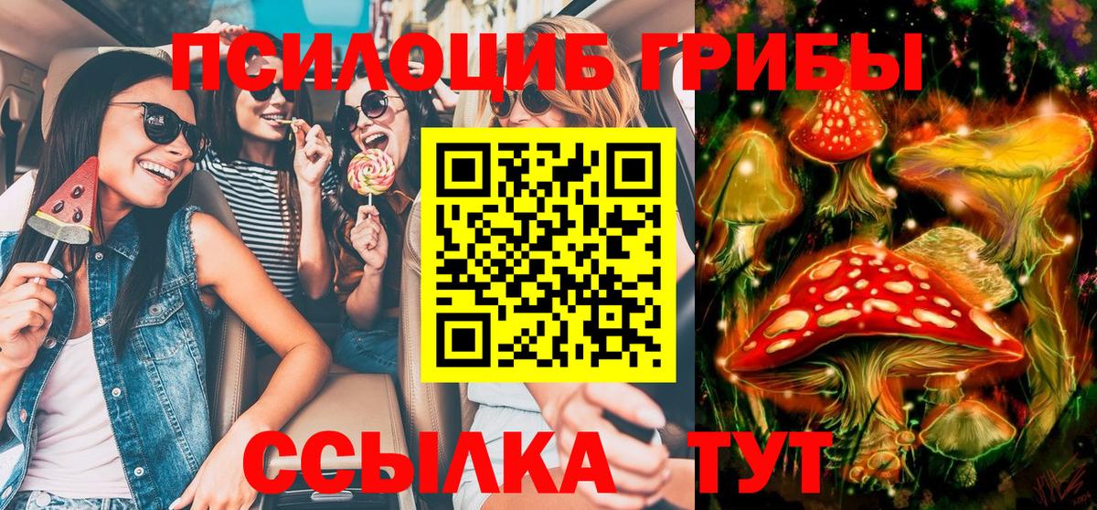 Россошь  Галлюциногенные грибы ЛСД  Вход с VPN 