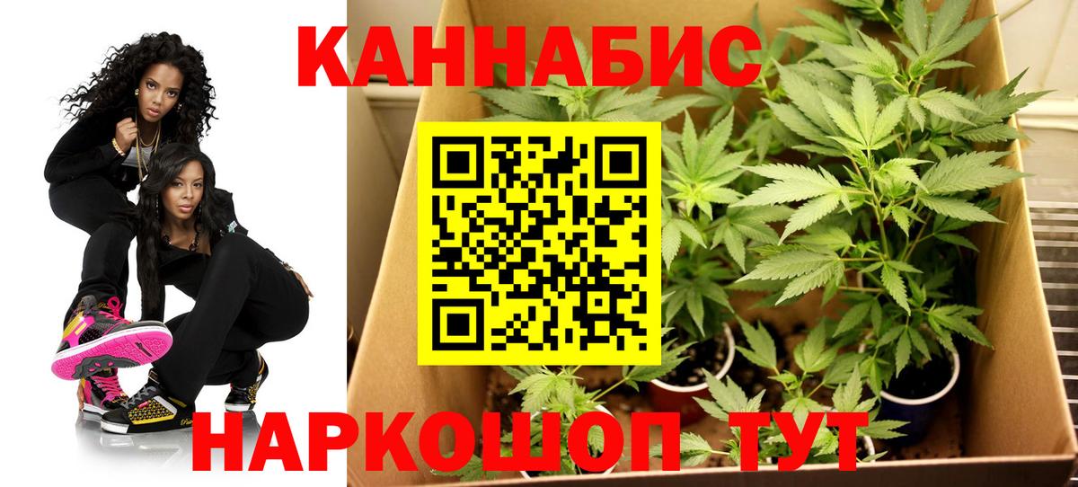Россошь  Бошки марихуана Amnesia  Вход с VPN  Конопля ГИДРОПОН 